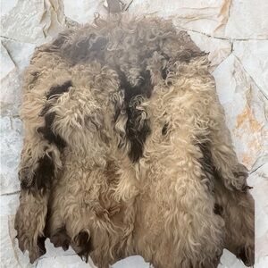 Curly lamb coat